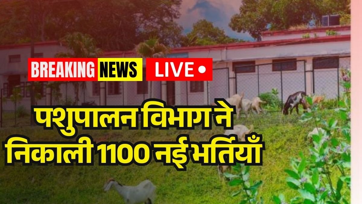 Animal Husbandry Department