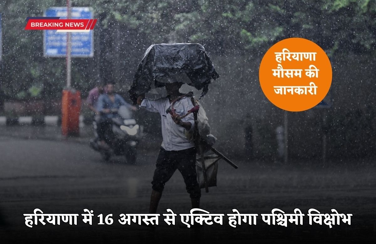 _Western disturbance will be active in Haryana from August 16